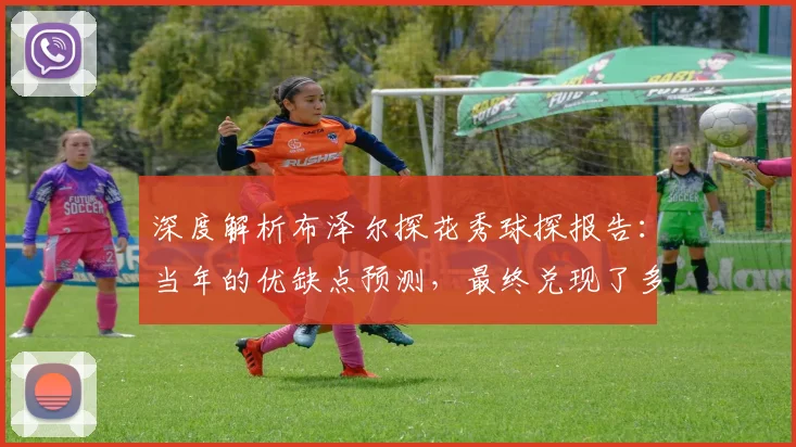 深度解析布泽尔探花秀球探报告:当年的优缺点预测,最终兑现了多少?